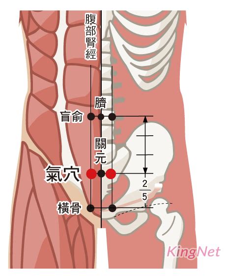 氣穴|氣穴(胞門、子戶)